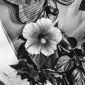 Meet your Posher, Kendra